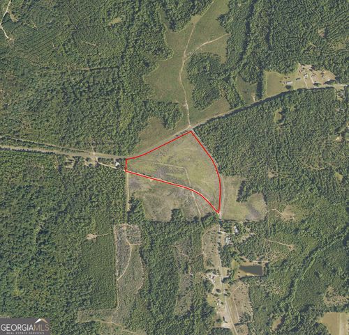 1 Pineville Rd, Buena Vista, GA, 31803 | Card Image