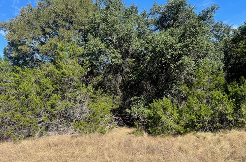 1366-E Narrows Rd, Blanco, TX, 78606-5326 | Card Image