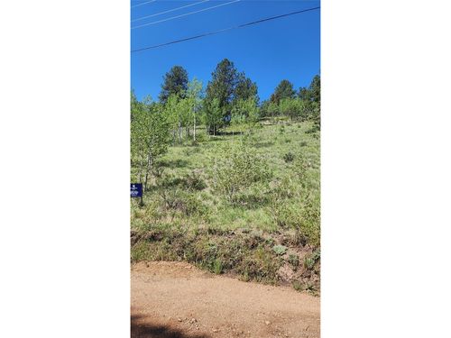 267 Ward St, Bailey, CO, 80421-1453 | Card Image
