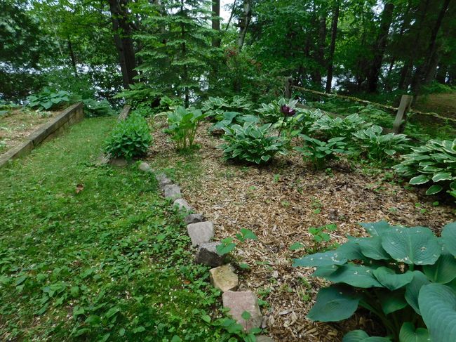 6832 S Forest Haven Rd, House other with 2 bedrooms, 1 bathrooms and null parking in Shawano WI | Image 57