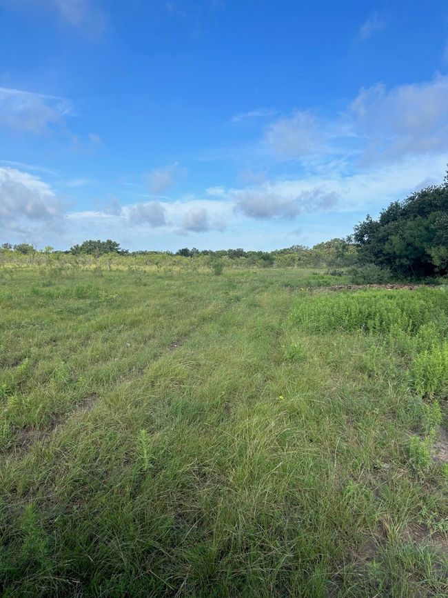Easterly View of Southern Poriton of 20+- Acres | Image 9