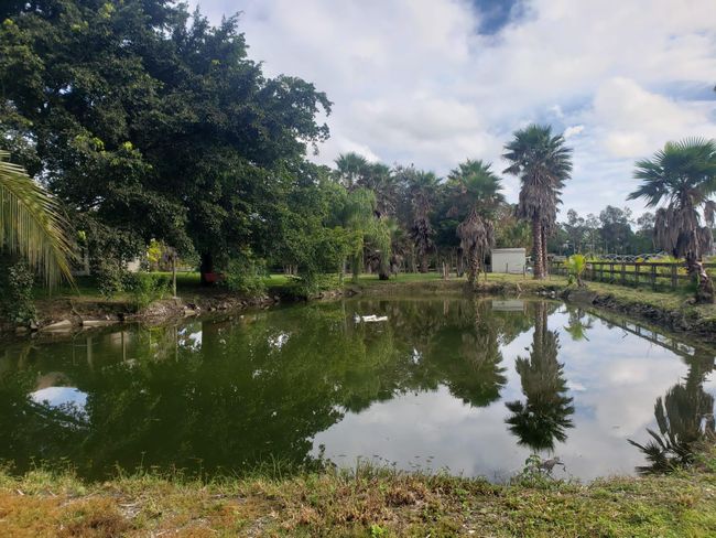 15362 94 Th St N, House other with 3 bedrooms, 2 bathrooms and null parking in Royal Palm Beach FL | Image 30