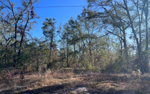 TBD Ne Hillside Ter, LEE, FL, 32059 | Card Image