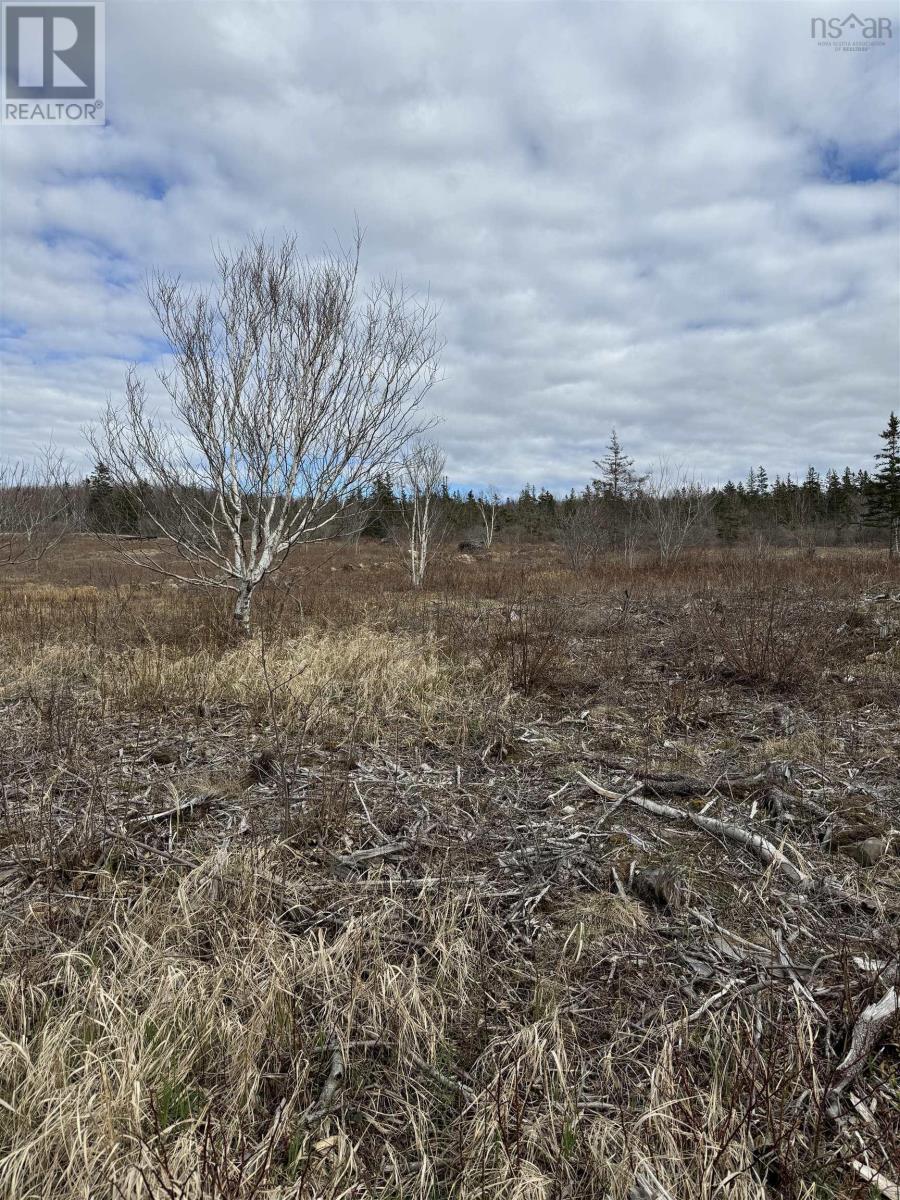 Land in Phinneys Cove 5