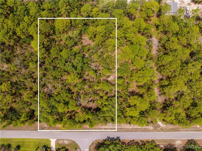16240 Mount Sparrow Rd, Home with 0 bedrooms, 0 bathrooms and null parking in Weeki Wachee FL | Image 9