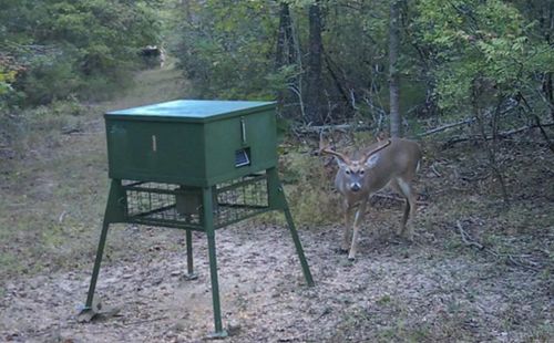 623 Batesville Mountain Rd, Damascus, AR, 72039-8146 | Card Image