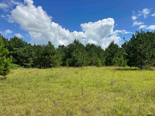 TBD County Road 218d, Henderson, TX, 75652 | Card Image