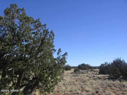 5999 Mesa View Lot 149 Drive, Heber, AZ, 85928 | Card Image