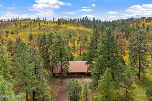 41005 Highway 261, Eagar, AZ, 85925-9909 | Card Image