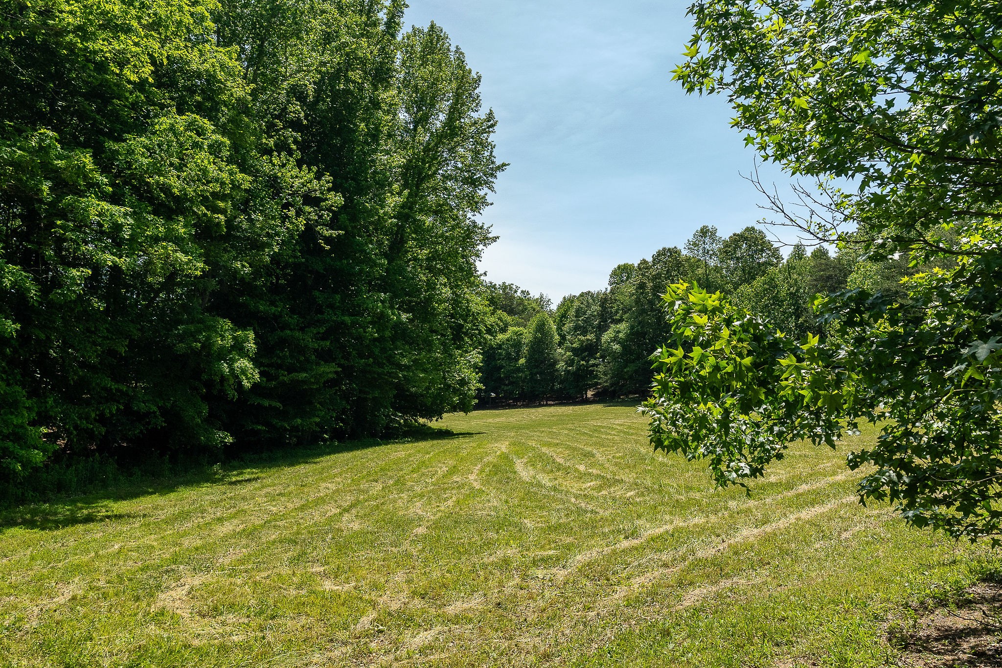 Farm in Hilham 3