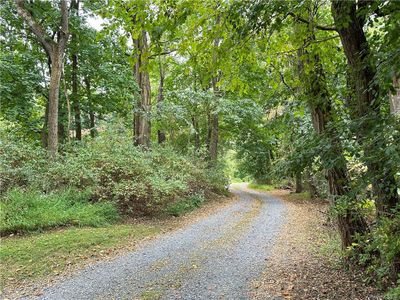 View of road | Image 1