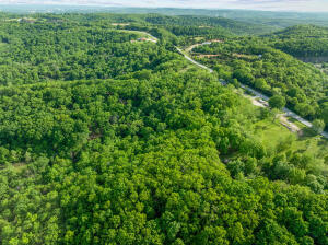 Land in Branson 4