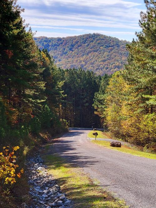 LOT 6 Black Bear Ridge Rd, Ellijay, GA, 30536 | Card Image