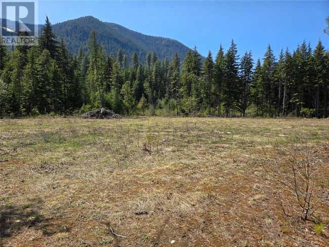 3809 Passmore Upper Rd, Home with 0 bedrooms, 0 bathrooms and null parking in Passmore BC | Image 13