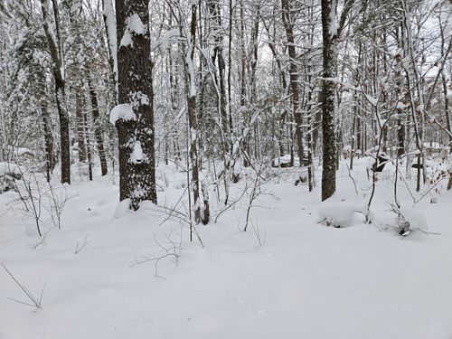 V/L S Whalen Lake Road, Baldwin, MI, 49304 | Card Image