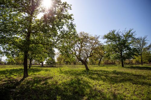Lot 5 Shorthorn Rd, Stockdale, TX, 78160 | Card Image