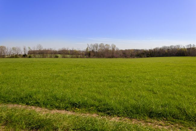 Picture (2 of 24) | Image 10