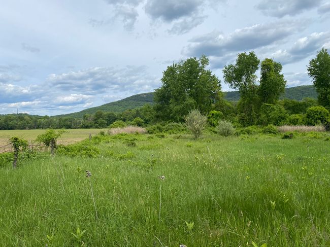 151 Sand Rd, Home with 0 bedrooms, 0 bathrooms and null parking in Canaan CT | Image 8