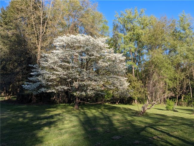 143 Gracie Ln, Home with 0 bedrooms, 0 bathrooms and null parking in Mars PA | Image 45