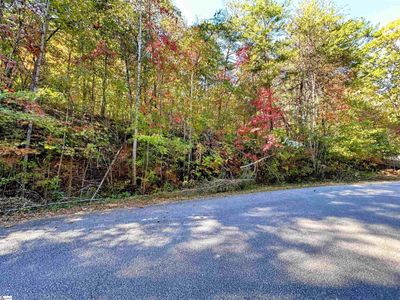 LOT-89 - 089 Forest Drive, Home with 0 bedrooms, 0 bathrooms and null parking in Travelers Rest SC | Image 2