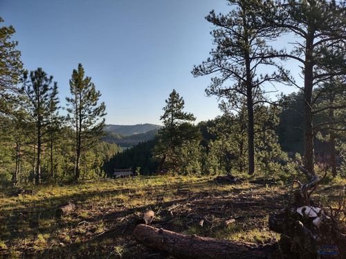 24618 Saddle Ridge Rd, Hermosa, SD, 57744-8000 | Card Image