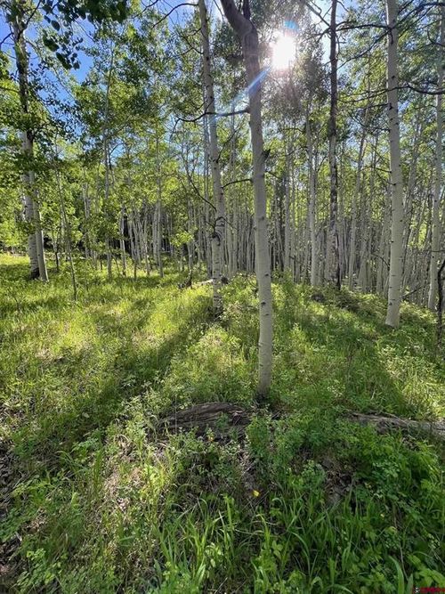 TBD Eagles Rest Dr, Cimarron, CO, 81220 | Card Image