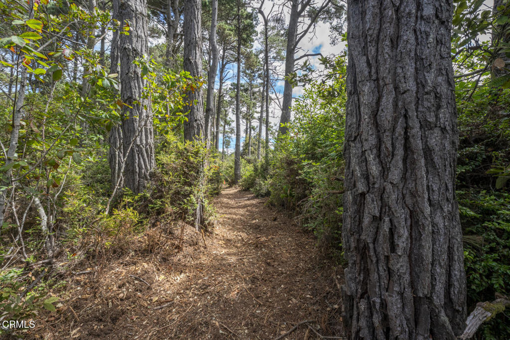 Land in Fort Bragg 4