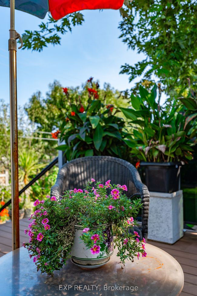 27 Stock Ave, House other with 3 bedrooms, 2 bathrooms and 6 parking in Etobicoke ON | Image 38