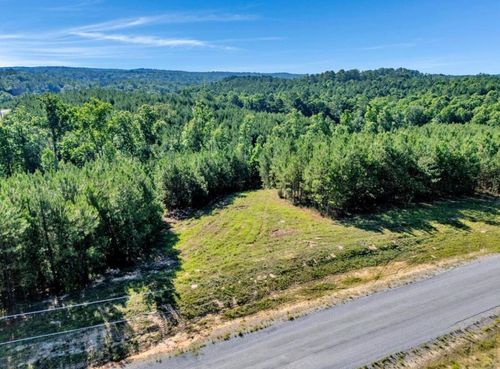 Lot 67 Shoreside Dr, Double Springs, AL, 35553-0030 | Card Image