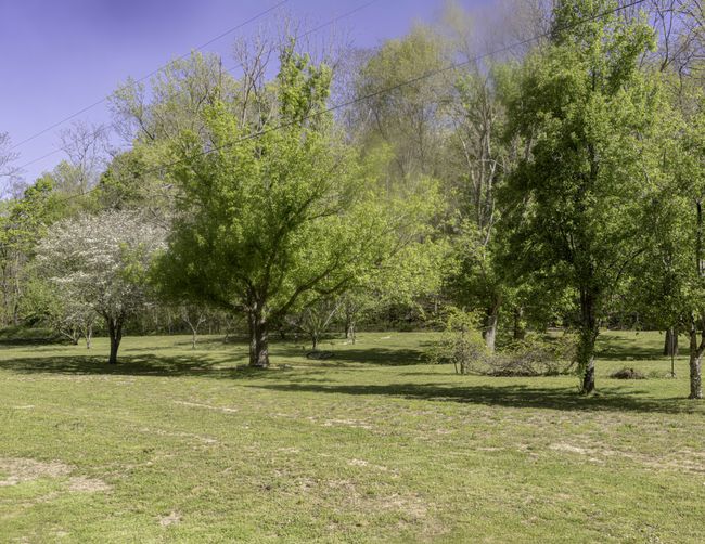 1657 Terrapin Branch Rd, House other with 3 bedrooms, 2 bathrooms and null parking in Mount Pleasant TN | Image 22