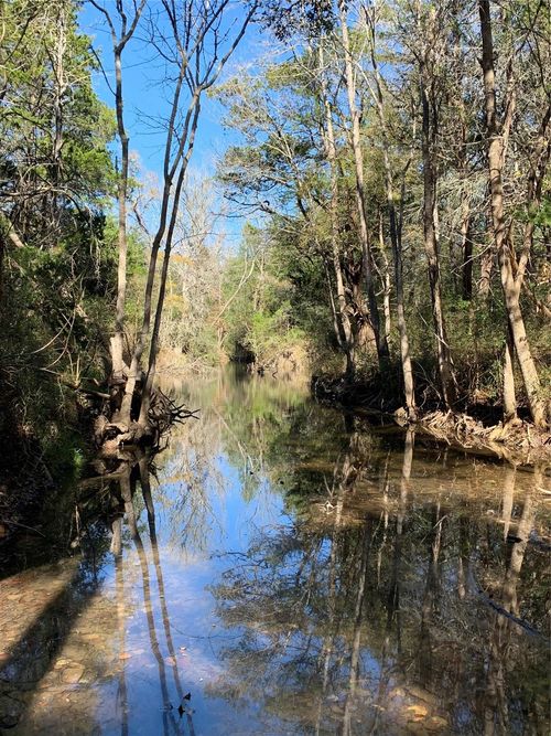 2551 Jurecka Road, Fayetteville, TX, 78940 | Card Image