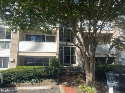 203-5600 Bloomfield Dr, ALEXANDRIA, VA, 22312-2519 | Card Image