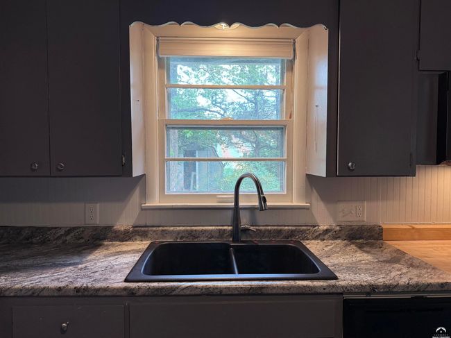 the kitchen sink! Extension wand faucet with variable spray and double compartments. What's cookin'? | Image 16