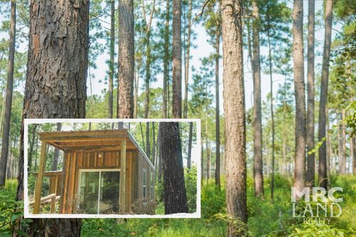 00 N Forest St, Grapeland, TX, 75844 | Card Image