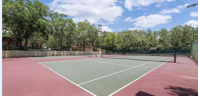50A - 2722 11 Th Ct, Condo with 2 bedrooms, 3 bathrooms and null parking in PALM HARBOR FL | Image 32