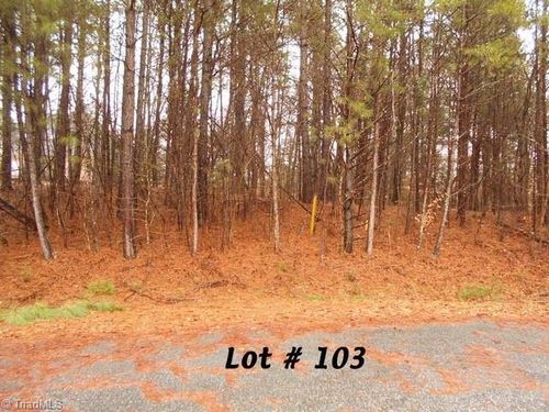 #103 Deer Run, Eden, NC, 27288 | Card Image