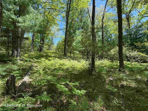 981 E Cranberry Lake Road, Hayes Township, MI, 48625 | Card Image