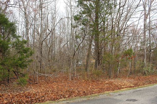 0 Lakeshore Dr, Beechgrove, TN, 37018 | Card Image