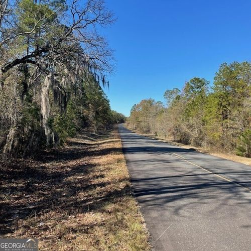 100+/- ACRES EA Pineville Road, Buena Vista, GA, 31803 | Card Image