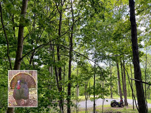 little-kyger-tract-2-0 Little Kyger Rd, Cheshire, OH, 45620 | Card Image