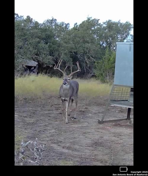 838 Fm 573 S, Mullin, TX, 76864-2568 | Card Image