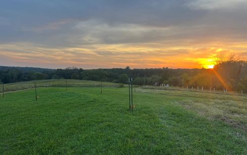 N2548 320th St, MAIDEN ROCK, WI, 54750 | Card Image