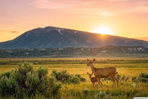 Lot 14 Blk 8 Aspen Meadows, Elk Mountain, WY, 82324 | Card Image
