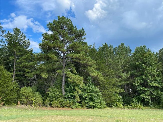 15357 Forest Grove Dr, Home with 0 bedrooms, 0 bathrooms and null parking in Willis TX | Image 10