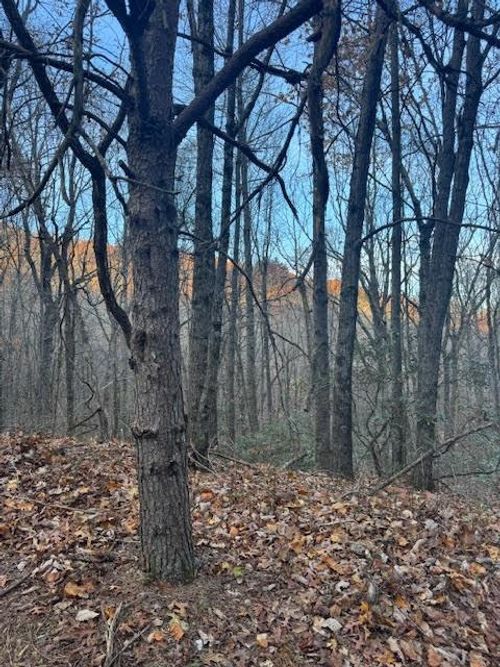 19 Fox Run Ln, Jasper, GA, 30143-1335 | Card Image