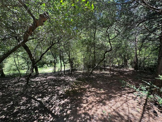 7971 County Road 2751, Home with 2 bedrooms, 1 bathrooms and null parking in Buffalo TX | Image 20