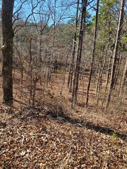 TBD Fs Road 7100, Mena, AR, 71953 | Card Image