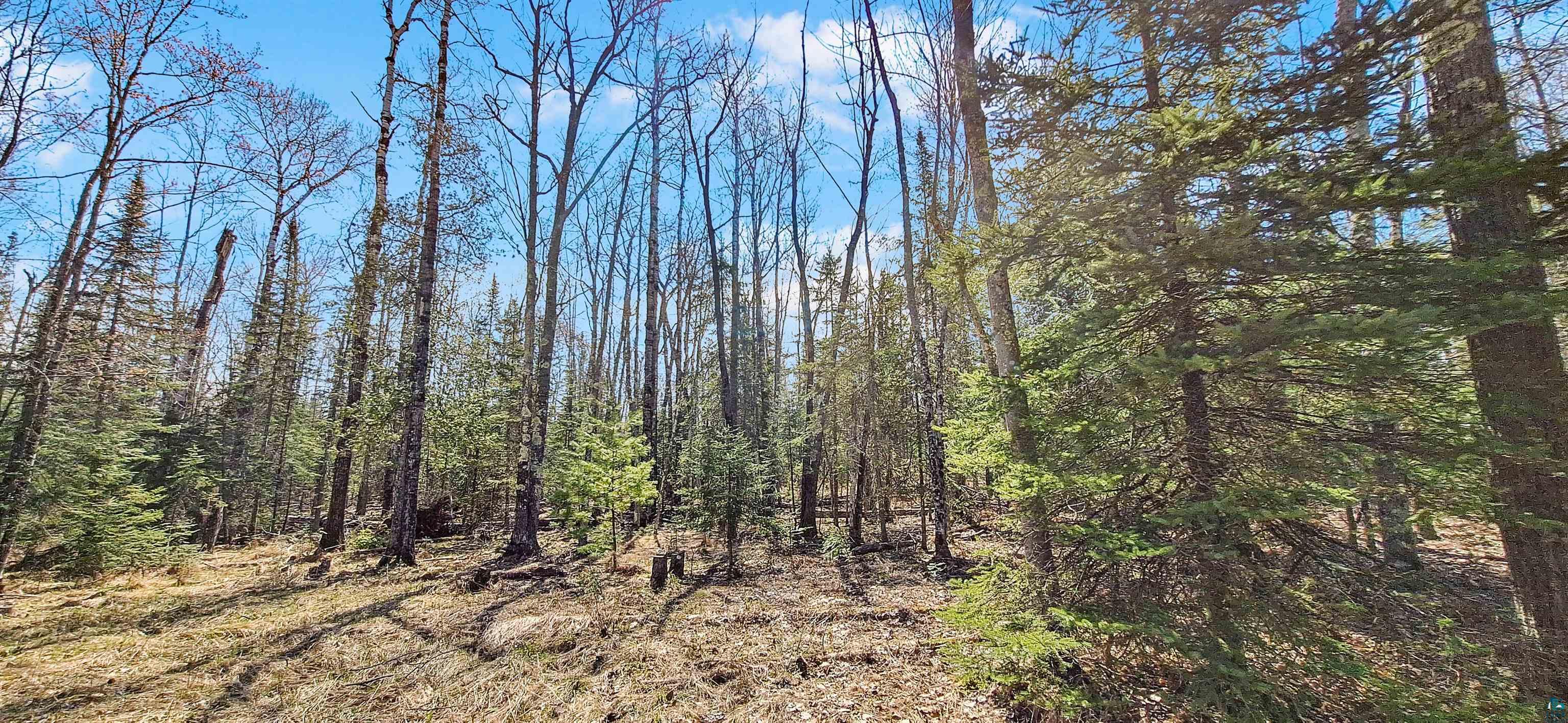 Land in LaPointe 3