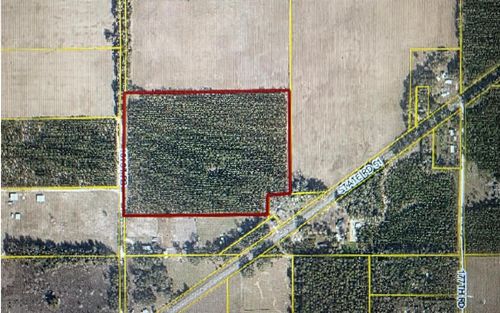 TBD 181st Rd, Live Oak, FL, 32060 | Card Image