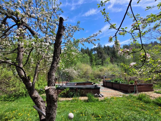 View of yard with a vegetable garden | Image 92